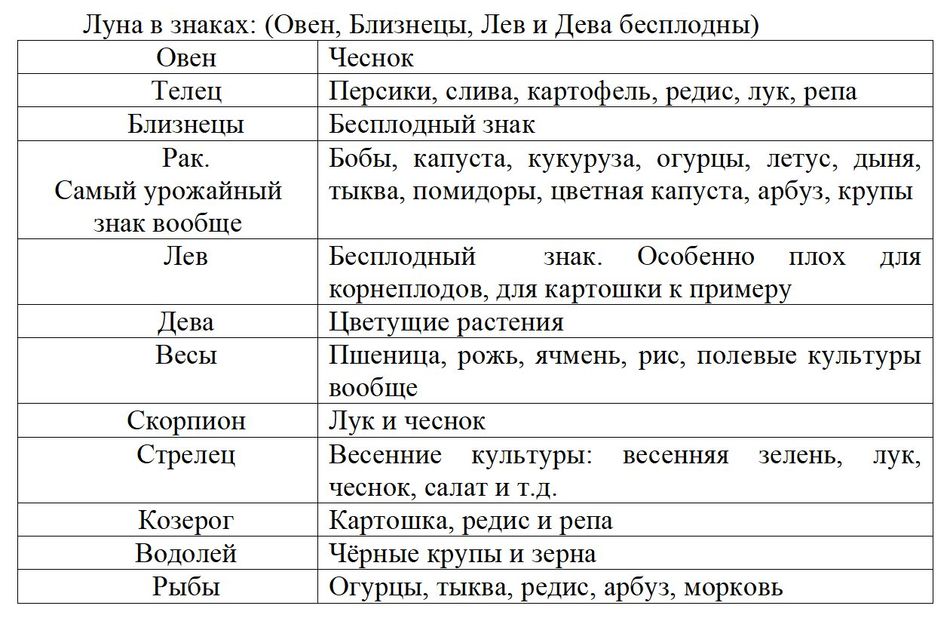 Описание нужно вставить