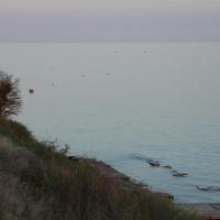 Ретрит "Ключи к Судьбе". Школа Джйотиш "Камала Вана". Лето 2017