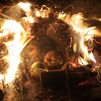 Ретрит "Ключи к Судьбе". Школа Джйотиш "Камала Вана". Лето 2017